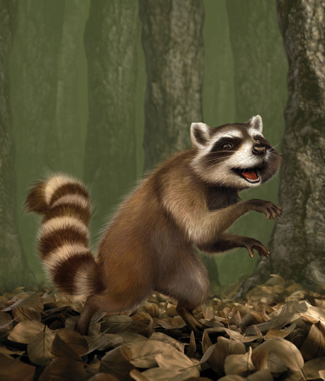 Raccoon Copyright ProMotion