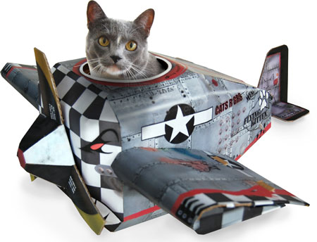 CatinPlaneWenn_450x344