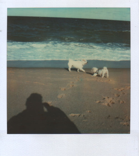 polaroid02