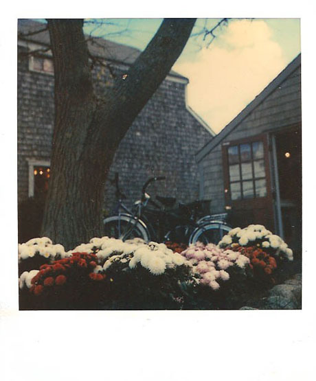polaroid04