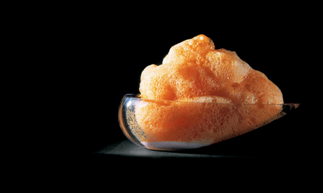 Carrot air. All images copyright el bulli
