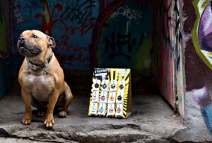 Link to: Pimp My Pooch