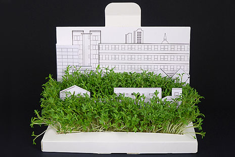 Link to: Watch it grow: Desktop’s Postcarden