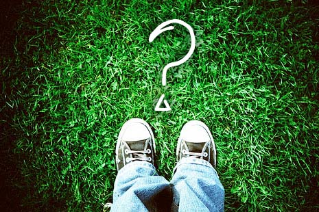 Link to: Peer Pressure: what does being ‘green’ actually mean?