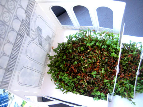 green1 20th April UPDATE: We have green!