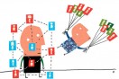 Link to: The Social (Network) Butterfly