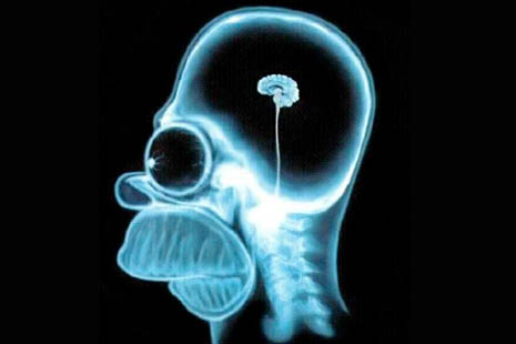 Link to: Brain games don’t make you smarter