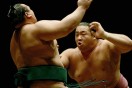 Link to: Fat-fingered sumos given iPads