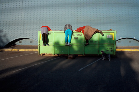 Title: Skip Divers. All images copyright Jesse Marlow Title: Skip Divers. All images copyright Jesse Marlow