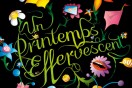 Link to: blindSALIDA