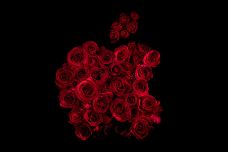 www.distilennui.com www.distilennui.com