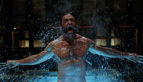 Wolverine Wolverine