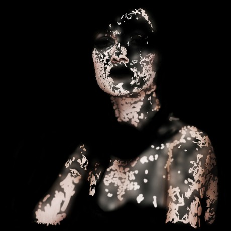All Images Copyright Daniel Noone.